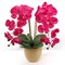 12-Pack: Fuchsia Phalaenopsis Orchid Stem with 9 Flowers by Floral Home&#xAE;